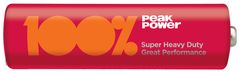 PEAKPOWER R6/PP15PP-2S2