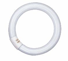 OSRAM L 22W/840 C G10q